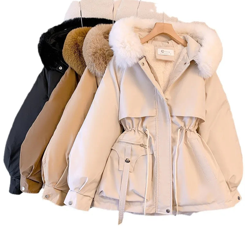 product/2023/11/15/1724631726870892544.jpg