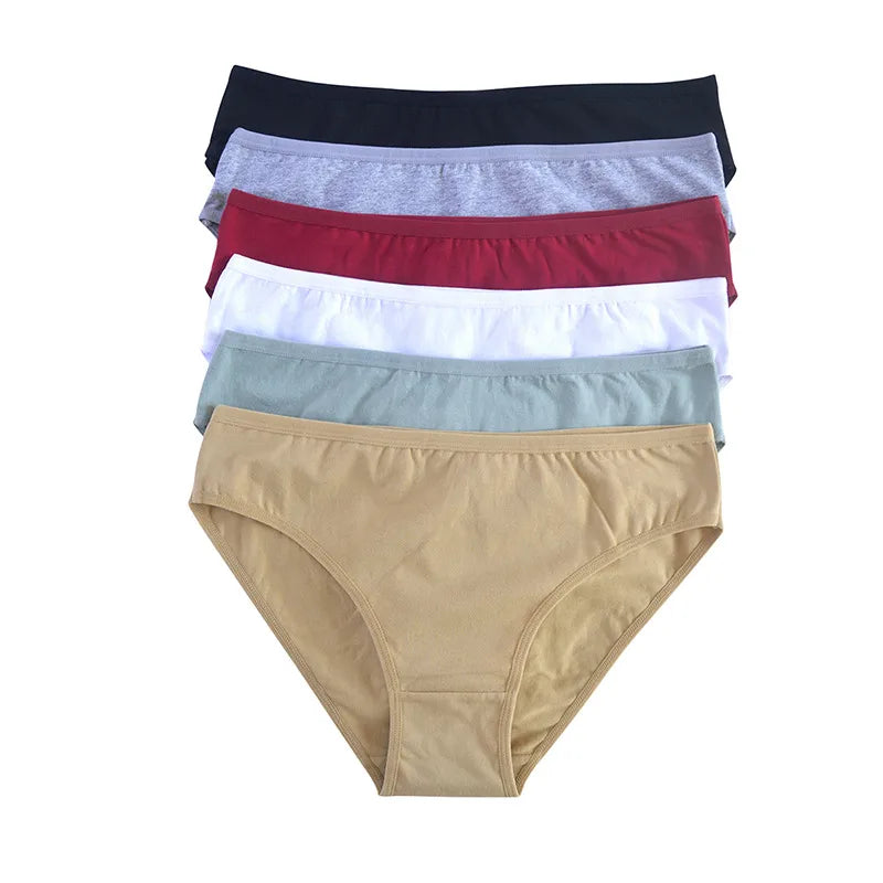 product/2025/5/19/1924391804170539008.jpg
